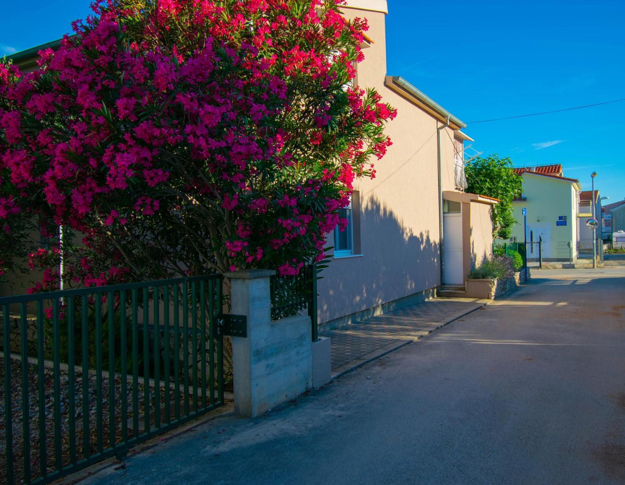 Apartments Anita Frane Vodice Buitenkant foto